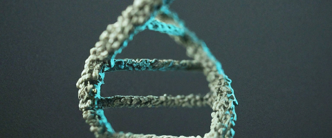 Surrogate’s Court Orders DNA Testing to Verify Claim to Be Decedent’s Biological Child