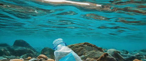 Legal Risks In Claiming “Ocean Bound” Plastic During The Accc’S Greenwashing Campaign