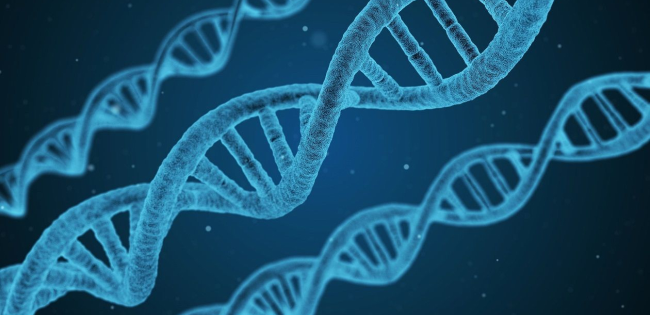 DNA Testing in Contentious Probate Claims