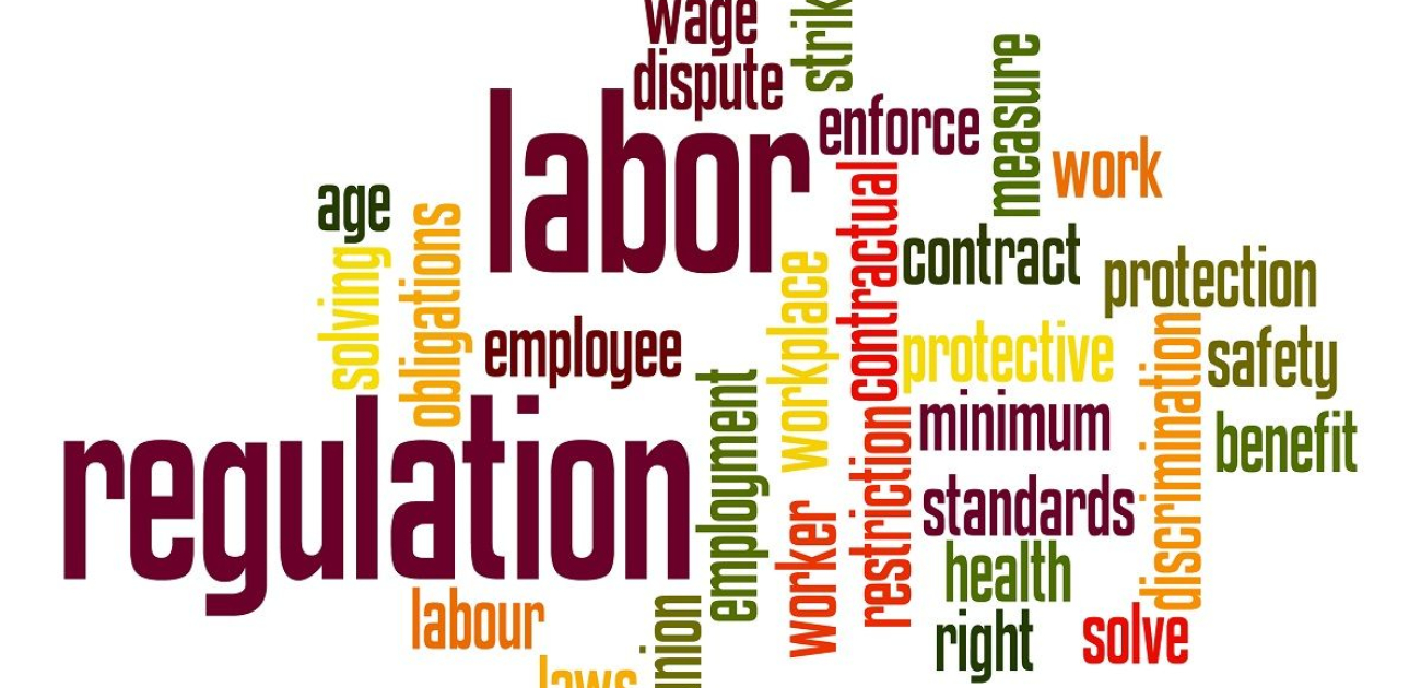 Michel Reforms: Impacts for Companies, Workers and Savers? (Labor Law Reforms)