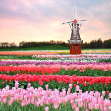 The Attractions of Investing in the Netherlands